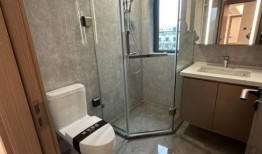 重庆招商1872最新爆料,揭秘1872项目新动态与未来规划